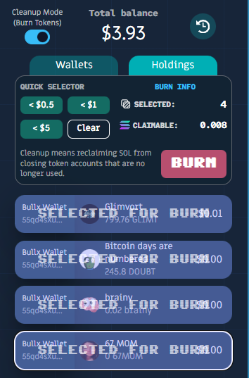 Roo extension showing Burn Token Account.